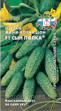 Огурец СЫН ПОЛКА® F1, 0.3г